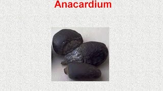 ANACARDIUM  ΑΝΤΙΜΕΤΩΠΙΣΗ ΟΞΕΩΝ ΚΑΤΑΣΤΑΣΕΩΝ ΜΕ ΟΜΟΙΟΠΑΘΗΤΙΚΗ [upl. by Ystap]