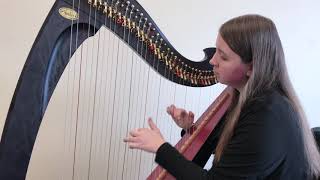 Drake  Passionfruit Harp Cover by Arianna Worthen [upl. by Cartie]