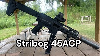 Stribog SP45A3 Review [upl. by Rebecca779]