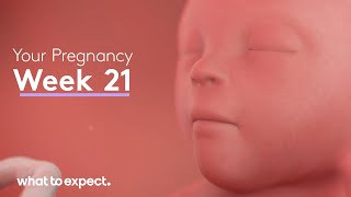 21 Weeks Pregnant  What to Expect [upl. by Eizdnil]