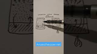 Saturated Vapour Pressure amp Temperature in 60 seconds [upl. by Anaeerb284]