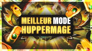 DOFUS CE STUFF VA TOUS VOUS CHOQUER  Huppermage dopou pvp [upl. by Elehcor]