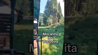 Mocanita Hutulca Moldovita județ Suceava  Bucovina [upl. by Rossuck775]