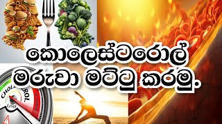 කොලෙස්ටරොල් පරදා ජය ගනිමු MeddicZ [upl. by Braun]