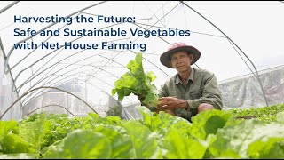 Harvesting the Future Safe and Sustainable Vegetables with NetHouse Farming [upl. by Maria]