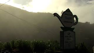 Dambatenne tea plantations Lipton Seat Sri Lanka [upl. by Maupin]