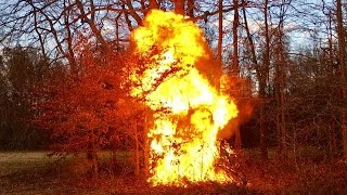 Messing With Hunters Trespassers Poachers Burn Baby Burn DIY Fire amp Ozzy [upl. by Rep274]