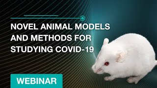 Novel Animal Models and Methods for Studying COVID19  Webinar [upl. by Prue820]