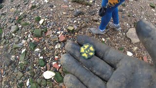 Mudlarking The Thames amp River Medway Part One [upl. by Anaderol149]