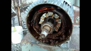 Over Greased Explosion Proof Motor [upl. by Yasmeen164]