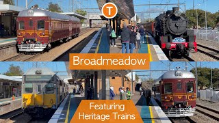 Transport for Sydney Vlog 644 Broadmeadow Part 2  Featuring Heritage Trains [upl. by Aissilem931]