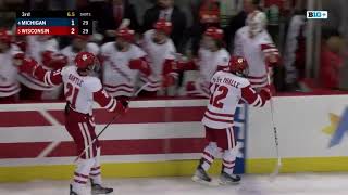 Wisconsin Hockey  Highlights vs Michigan 11423 [upl. by Grogan]