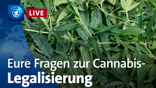 CannabisLegalisierung Der Drogenbeauftragte der Bundesregierung stellt sich euren Fragen [upl. by Haseefan]