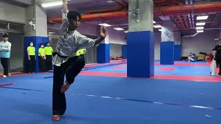 許昊珉 Hao Min Hsu  Bagua Dandao [upl. by Yevette]