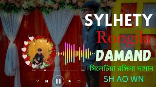 Sylhetiya Rongila Daman Slowed Reverb Version Music mart [upl. by Poler]