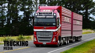 Volvo FH16 700 8x4 Globetrotter S5  New Zealand Trucks  Backbone [upl. by Bronder]