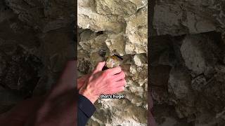 Finding a Large Pyrite Crystal 😲 [upl. by Ayekim]