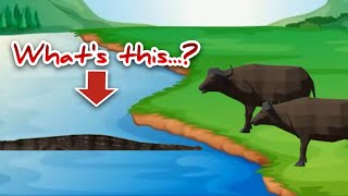 Crocodile Buffalo Animation  Animal Action [upl. by Alesandrini]