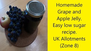 Easy to Make No Sugar Grape Jelly [upl. by Adnirem]