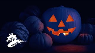 The Party Cats  Kids Dance Party Halloween Jams Halloween Visualizer [upl. by Dymphia196]