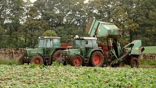 Fodder Beet Lifting with Fendt and Armer Salmon [upl. by Sheets105]