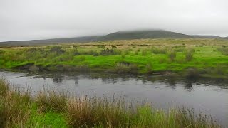 Leprechauns the real hobbits See them in Irland County Mayo [upl. by Dobbins978]