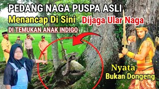 Viral  Anak Indigo Temukan Pedang Naga Puspa Milik Arya Kamandanu Menancap Dibatu Dijaga Ular [upl. by Eniortna]