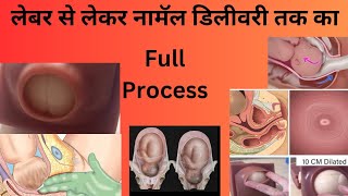 labour pain se lekar delivery tk ka pura process Pregnancy labourpain delivery pregnancytips [upl. by Nolrah]