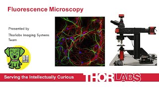 Fluorescence Microscopy Technology Fundamentals and Applications [upl. by Erodoeht297]