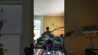 Ashokan Farewell on Cello Banjo [upl. by Yecaw]