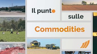 Il punto sulle commodities 16 settembre 2024 [upl. by Jeremy]