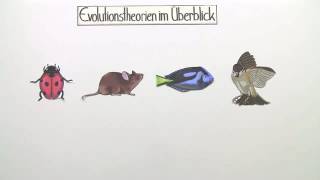 EVOLUTIONSTHEORIEN  ÜBERBLICK  Biologie  Evolutionsbiologie [upl. by Grizel]