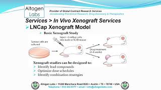 Altogen Labs LNCap Xenograft Service Prostate Cancer [upl. by Iznek]