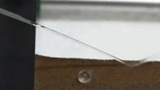 Superhydrophobic and superoleophilic polyurethane [upl. by Onailimixam275]