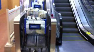 Walmart Shopping Cart Escalator [upl. by Zhang248]