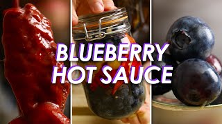 Do Blueberries Make Good Hot Sauce [upl. by Callie]