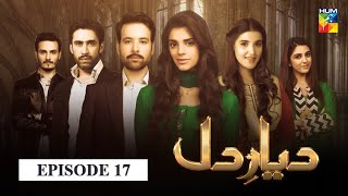 Diyar e Dil Episode 17 HUM TV Drama [upl. by Blatt]