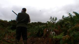 Wynnstay Partridge 24th Sept 2011 [upl. by Dreda318]