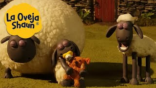 La Oveja Shaun 🐑 Ovejas dormidas 🐑 Dibujos animados para niños [upl. by Nnaitak]