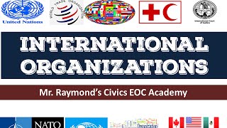 International Organizations  42 Governmental and NGOs  Benchmark Civics EOC [upl. by Aytak]