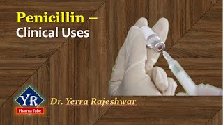 Penicillin  Clinical Uses  Clinical uses of Penicillins  YR Pharma Tube  Dr Yerra Rajeshwar [upl. by Errick]