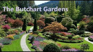 The Butchart Gardens Victoria BC [upl. by Nalyorf]