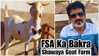 FSA Entertainment Ka Bakra  Bought From Shawaya Goat Farm [upl. by Gifferd47]