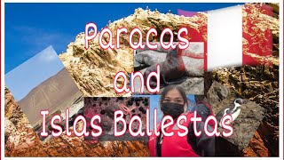 Episode 4 Paracas Nature Reserve  Islas Ballestas 🇵🇪 [upl. by Colyer]