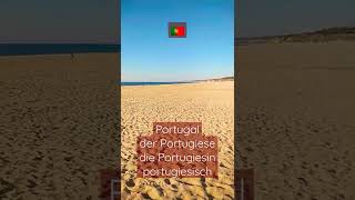 Portugal der Portugiese die Portugiesin portugiesisch sprachen portugal português alemão [upl. by Kalbli790]