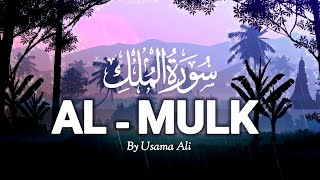 Surah Al Mulk Heart Touching Voice  سورہ الملک  Quran Tilawat Audio  Tabarakallazi Biyadihil Mulk [upl. by Cynthia]