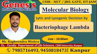 Bacteriophage Lamda  Lytic and Lysogenic Decision  CSIRNET Life Sciences  GATE  IITJAM [upl. by Derr396]