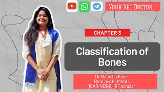 Classification of Bones Veterinary  Veterinary Anatomy Bones [upl. by Akapol]