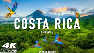 Costa Rica Rainforest 4K  Happiest Country On Earth With Exotic Wildlife  Scenic Relaxation Film [upl. by Caitlin735]