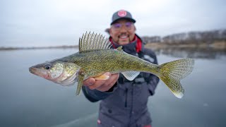 Early Ice Walleye Fishing on THIN ICE Underwater Footage [upl. by Antonia61]